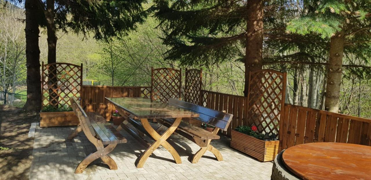 Sezatoarea Lupilor Villa Lepşa Екстериор снимка
