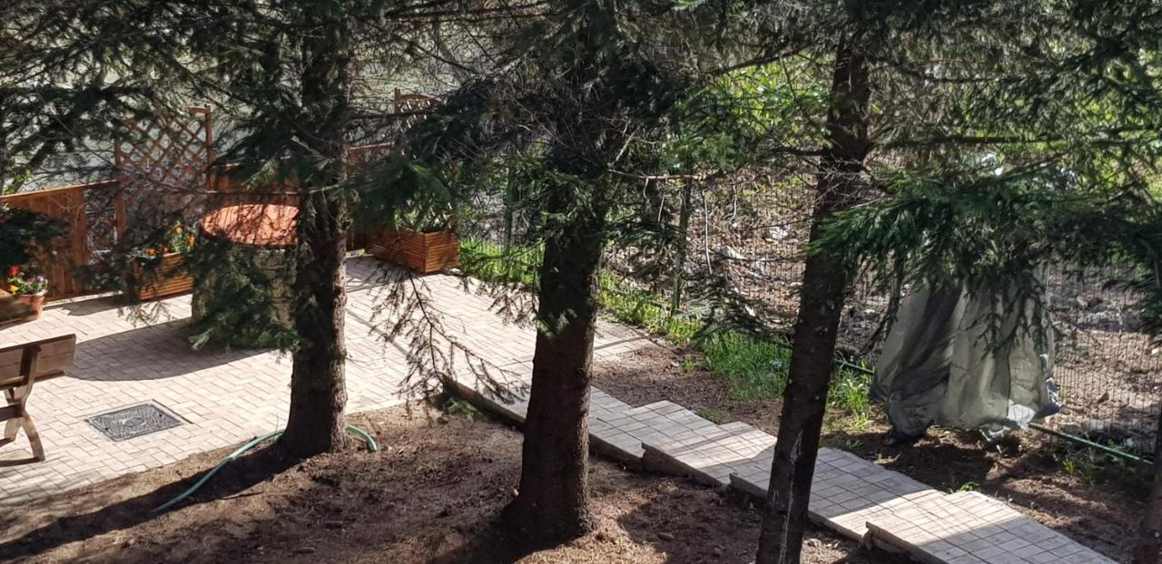 Sezatoarea Lupilor Villa Lepşa Екстериор снимка