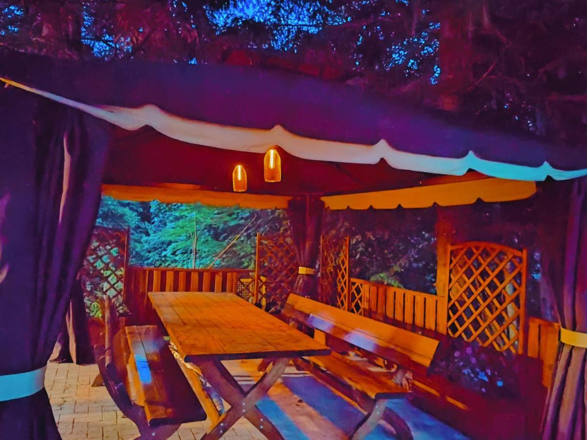 Sezatoarea Lupilor Villa Lepşa Екстериор снимка