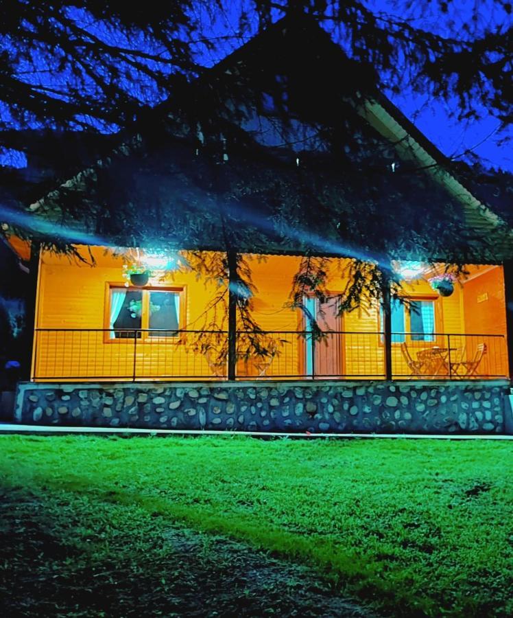 Sezatoarea Lupilor Villa Lepşa Екстериор снимка