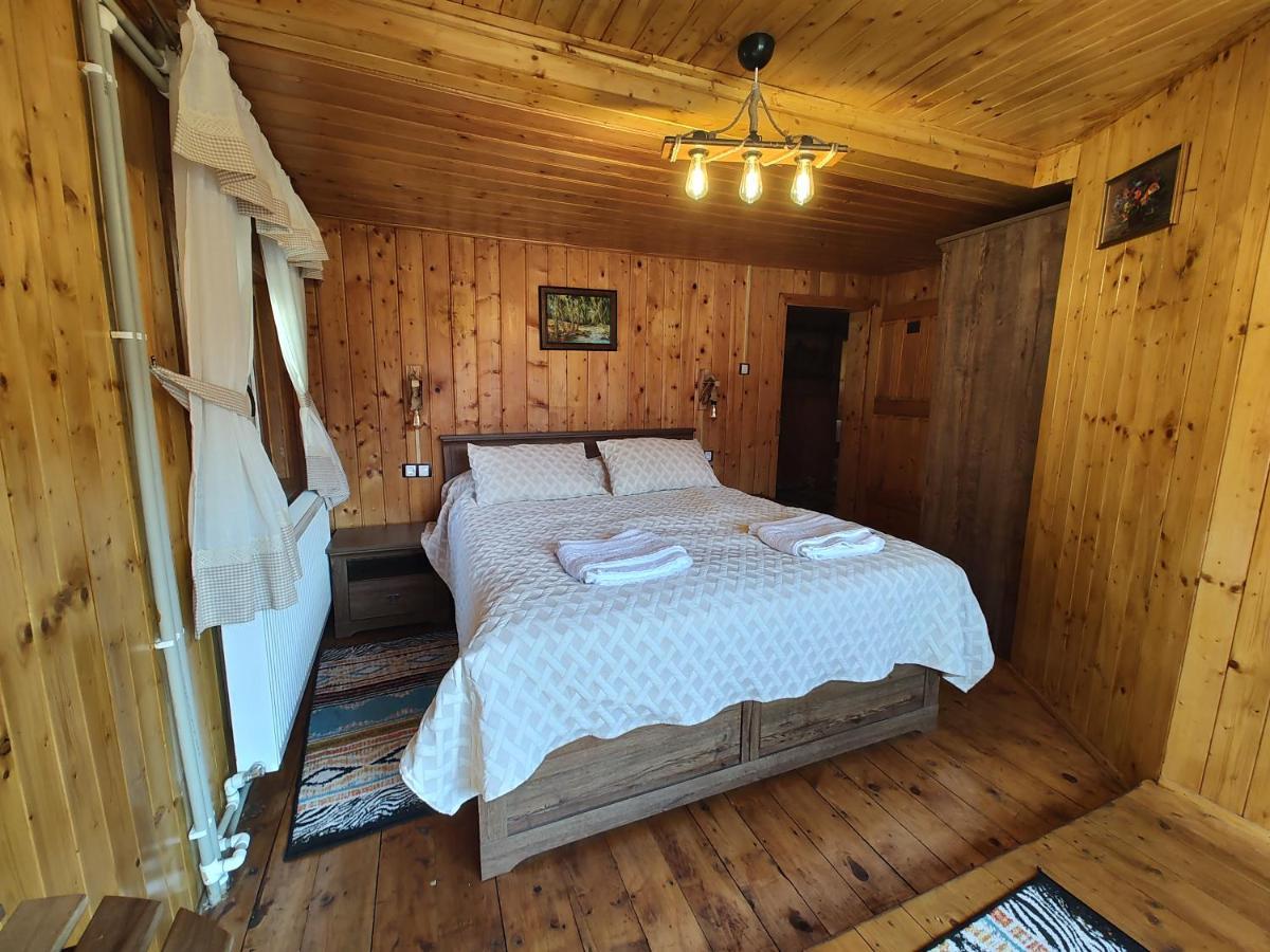 Sezatoarea Lupilor Villa Lepşa Екстериор снимка