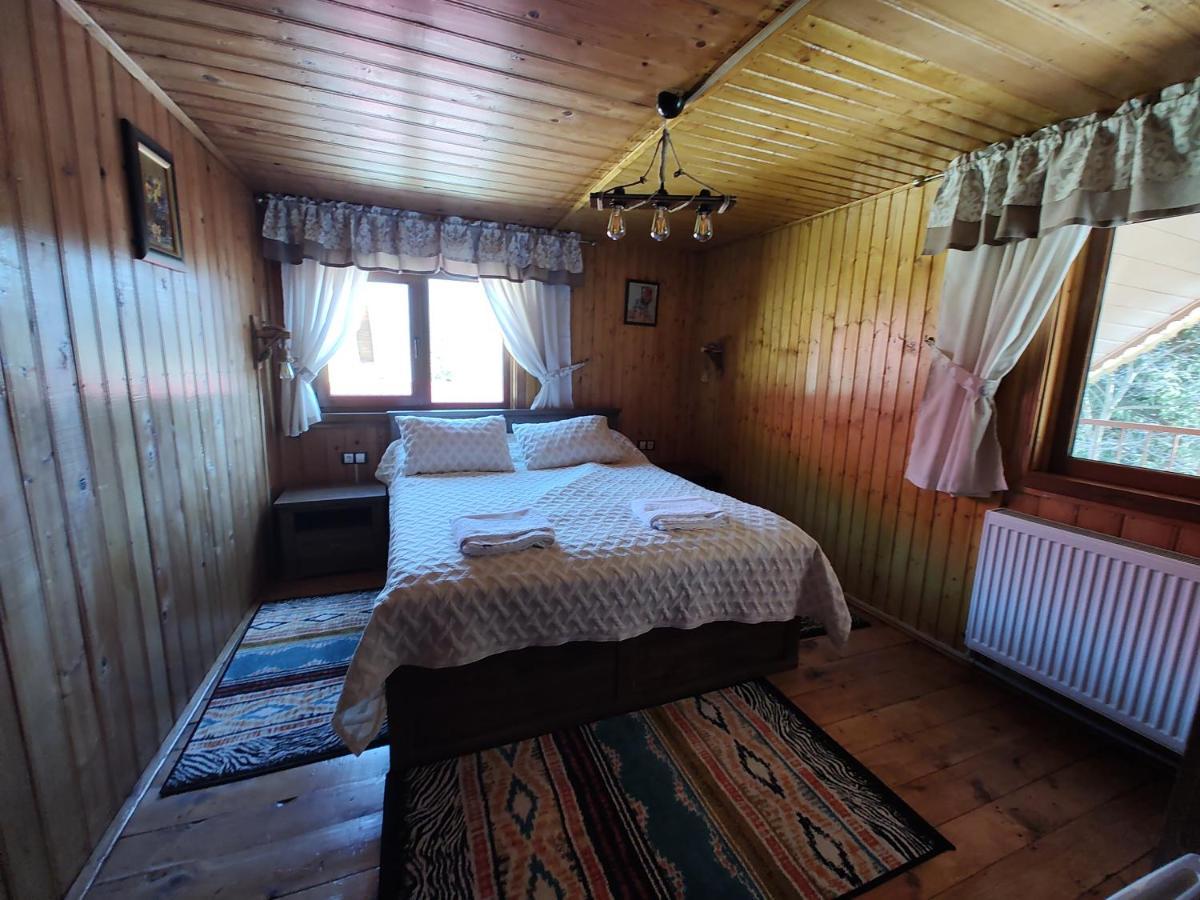 Sezatoarea Lupilor Villa Lepşa Екстериор снимка
