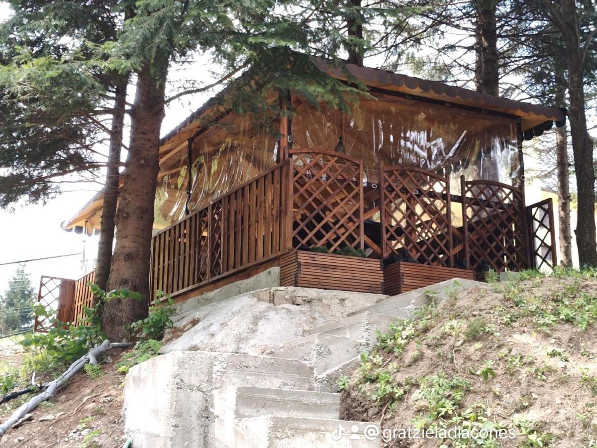 Sezatoarea Lupilor Villa Lepşa Екстериор снимка