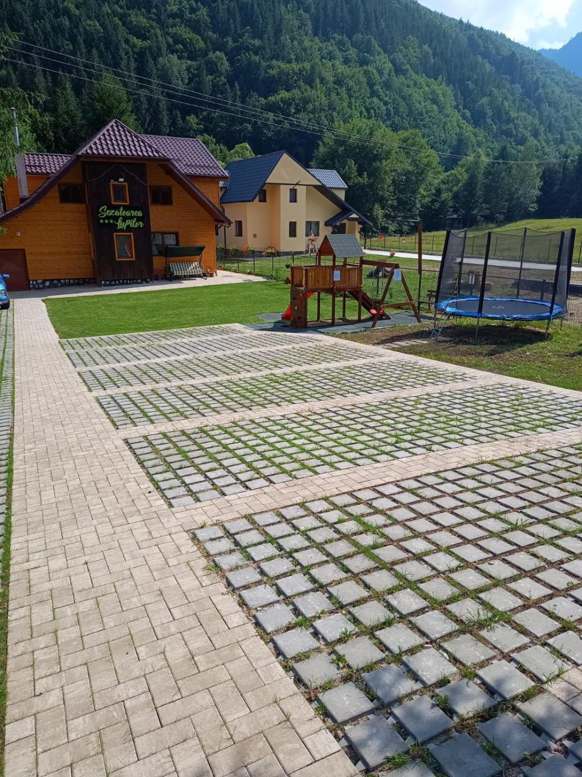Sezatoarea Lupilor Villa Lepşa Екстериор снимка