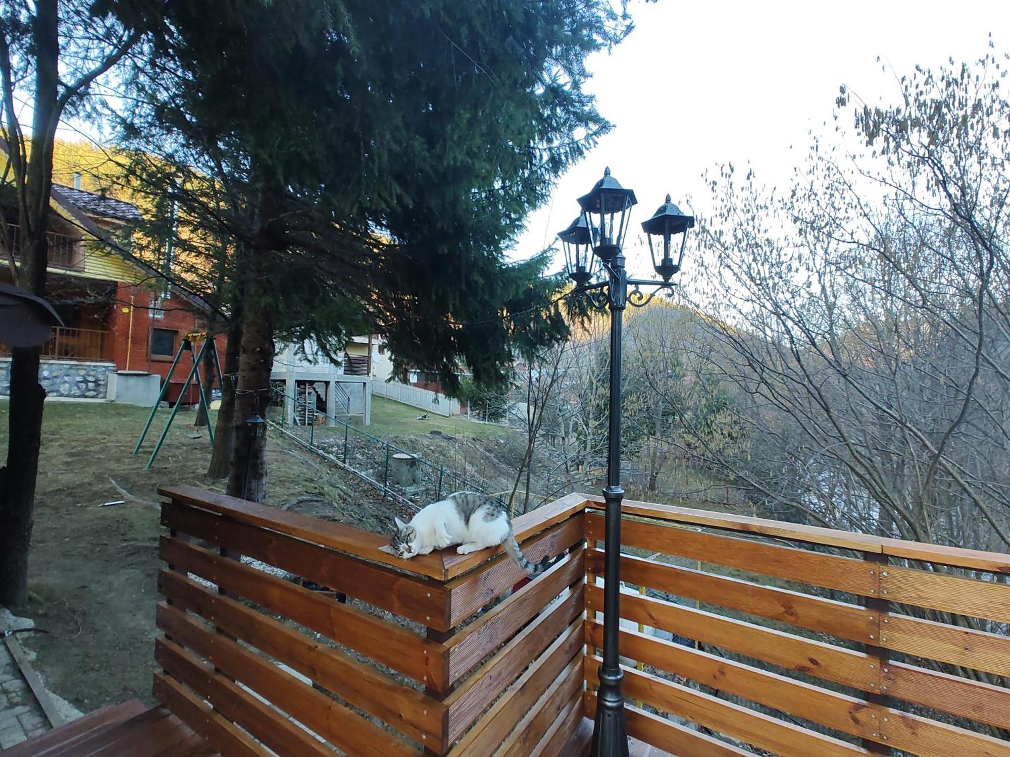 Sezatoarea Lupilor Villa Lepşa Стая снимка